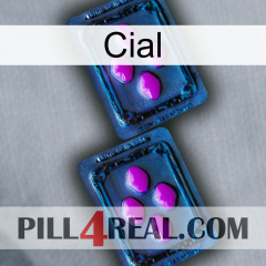 Cial 03
